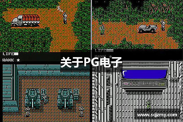关于PG电子